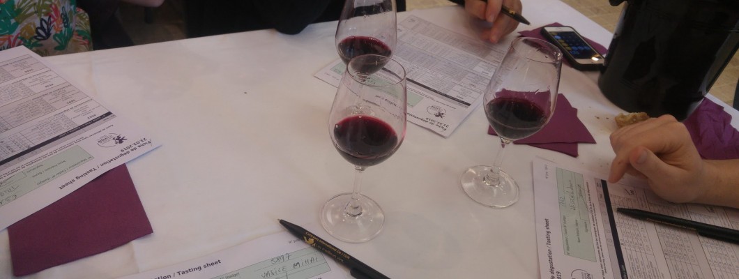 Am fost in Concours de Lyon