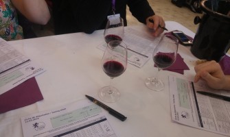 Am fost in Concours de Lyon