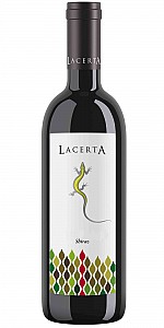 Lacerta Shiraz