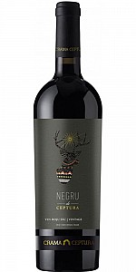 Negru de Ceptura Vintage