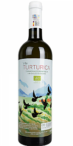 Casa de Vinuri Stefanesti Marcea Vila Turturica Tamaioasa Romaneasca