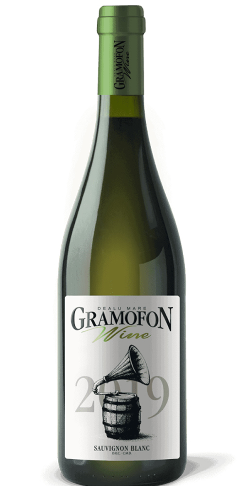 Gramofon Sauvignon Blanc